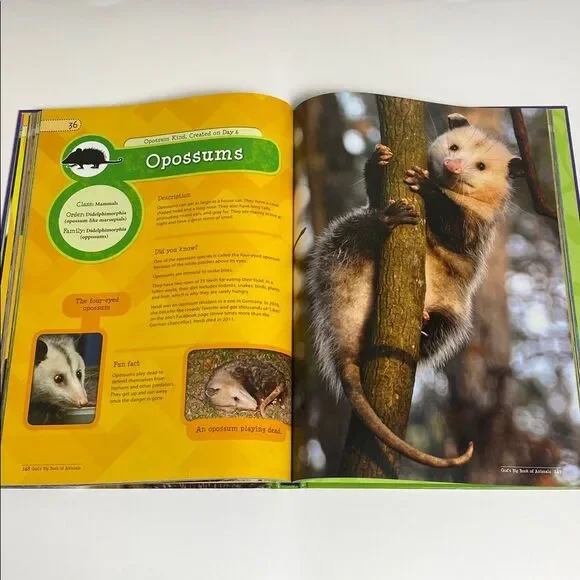 Master Books God's Big Book of Animals - Educational Book for Kids-Homeschool - Picture 10 of 16